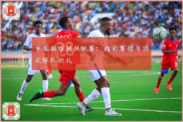 中国排球超级联赛:精彩赛程与顶尖球队巡礼