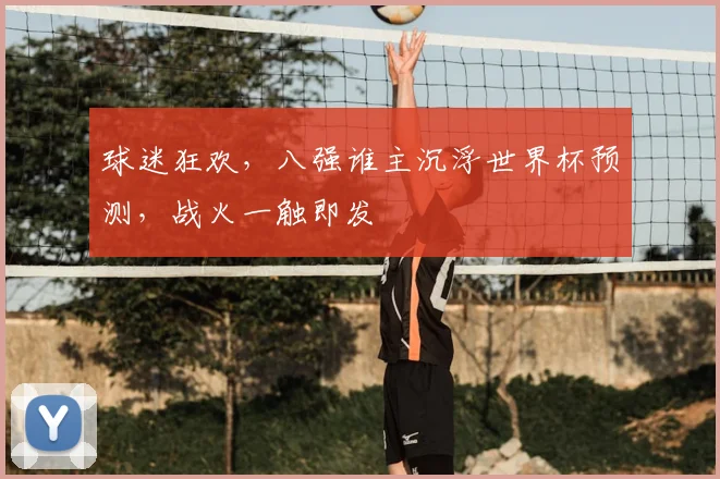 球迷狂欢,八强谁主沉浮世界杯预测,战火一触即发