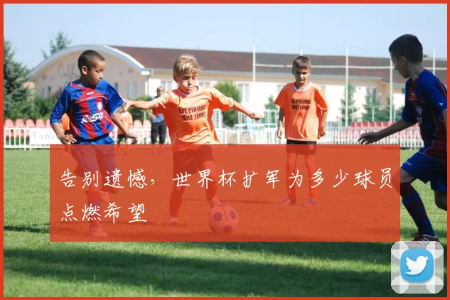 告别遗憾,世界杯扩军为多少球员点燃希望